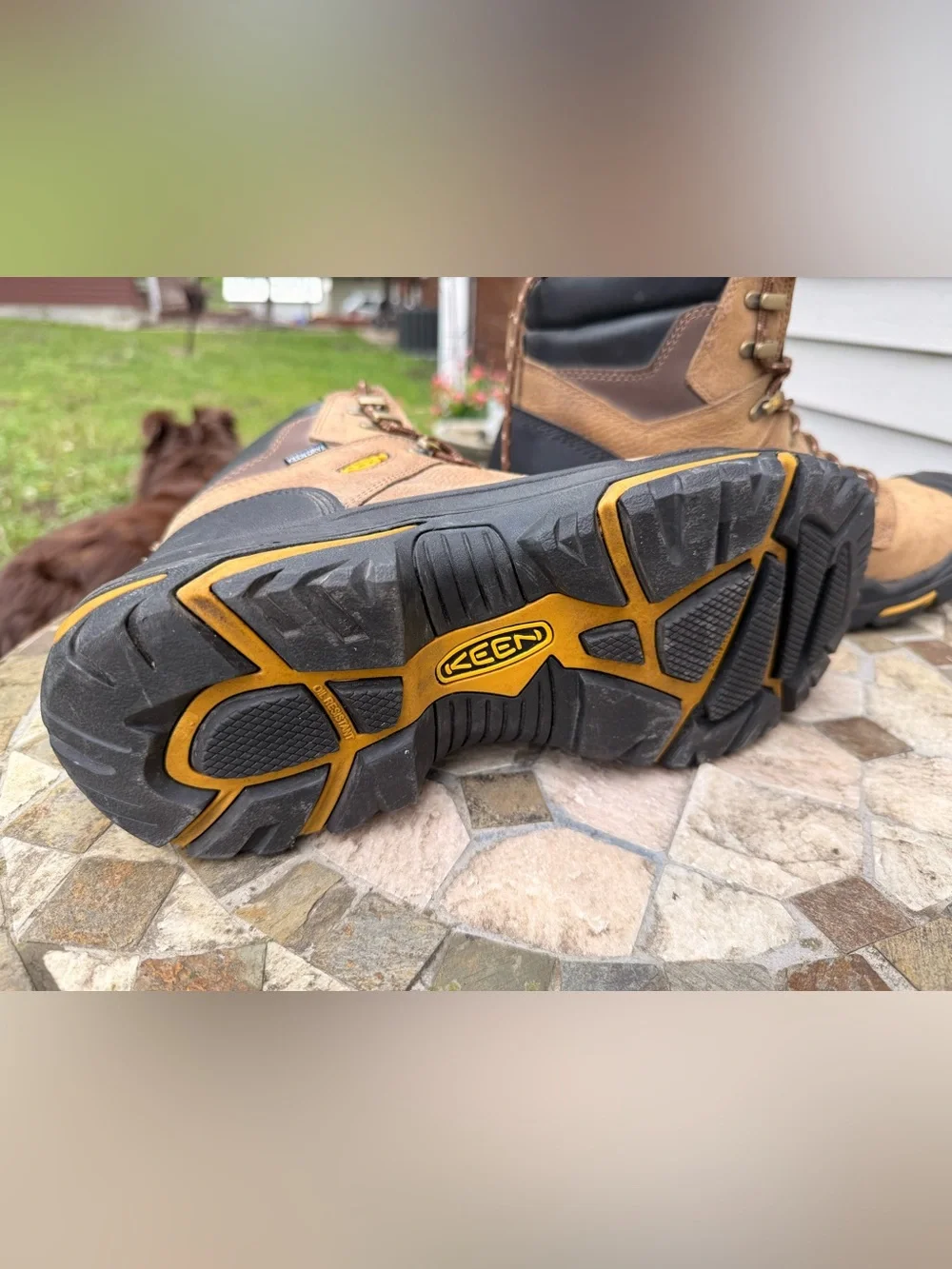 🪁Keen Mt Vernon 6